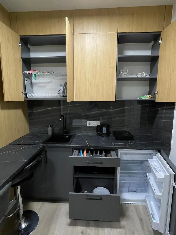 118 Apartments 基輔 乌克兰